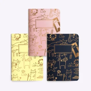 Trio de petits carnets chat Les Editions du Paon