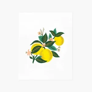 Affiche Citrons Rifle Paper