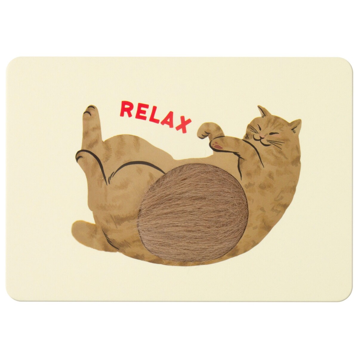 Carte tactile Chat – Chatora cat – Image 2