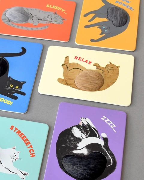 Carte tactile Chat – Chatora cat – Image 5