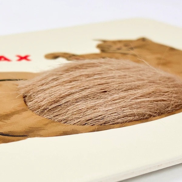 Carte tactile Chat – Chatora cat – Image 3